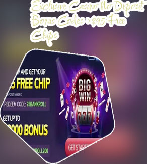 Online no deposit casino bonuses and free spins exclusive